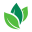 tagolife.com-logo